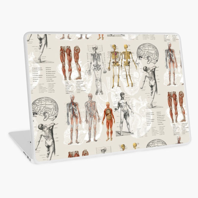 Vintage Anatomy Biology Art Collage Pattern Laptop Skin